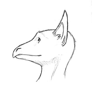 Eesah female 2.jpg